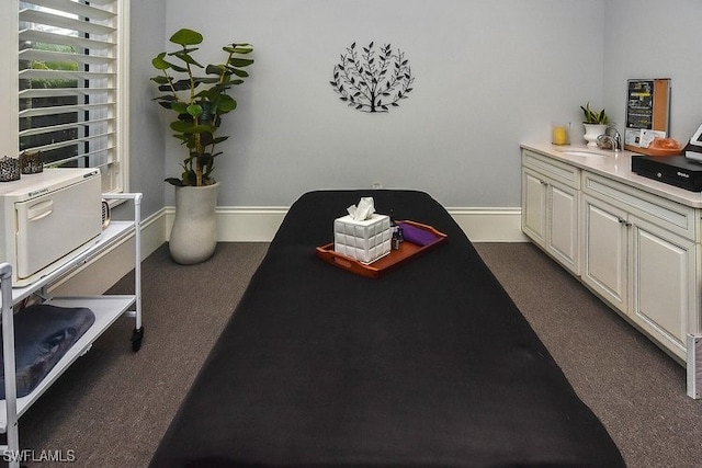 20956 Corkscrew Shores Blvd E, Estero, FL 33928 - miscellaneous room with a sink, dark colored carpet, and baseboards