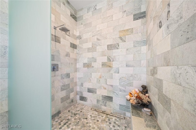 14931 David Dr, Fort Myers, FL 33908 - bathroom featuring a tile shower