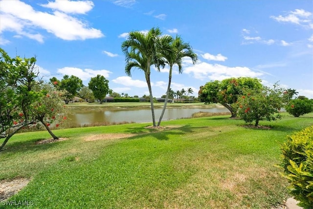 view of home's community with a water view and a lawn