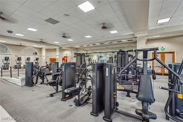 workout area with carpet floors and a paneled ceiling
