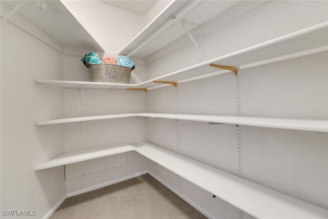 3399 Gulf Shore Blvd N Unit 303, Naples, FL 34103 - view of storage area