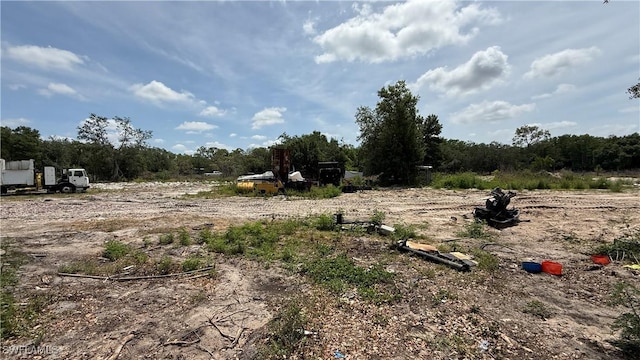 17200 Kentara Way, Fort Myers, FL 33913 - view of local wilderness
