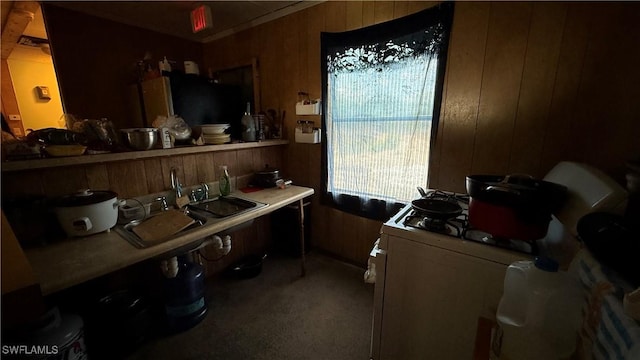 17200 Kentara Way, Fort Myers, FL 33913 - carpeted office with wood walls and a sink