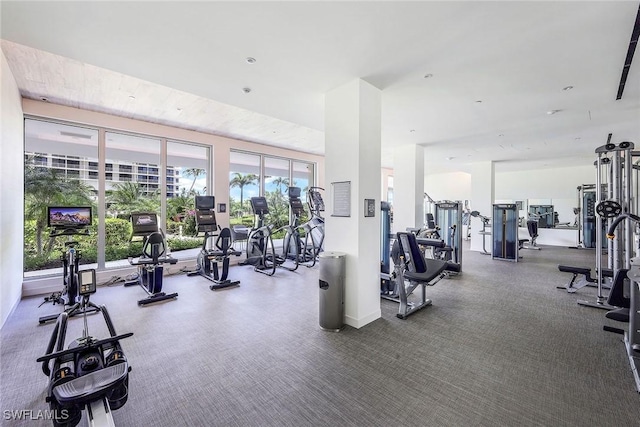 gym with carpet