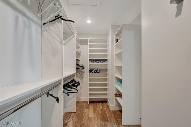 300 Palm Dr Unit 402, Naples, FL 34112 - walk in closet featuring light wood-style floors