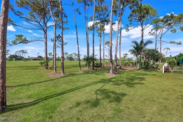 1302 SW 20th St, Cape Coral, FL 33991 - view of grassy yard