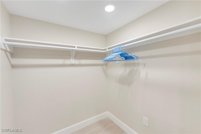 spacious closet featuring wood finished floors