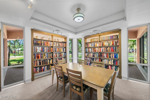 190 Turtle Lake Ct Unit 311, Naples, FL 34105 - carpeted dining area with a tray ceiling, plenty of natural light, and built in features