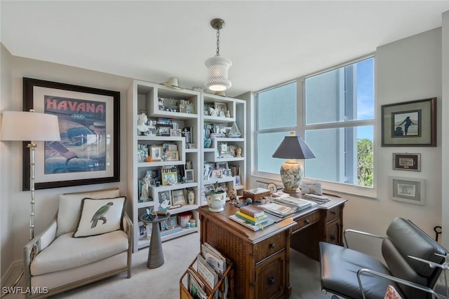 6573 Marissa Loop Unit 303, Naples, FL 34108 - office with carpet floors