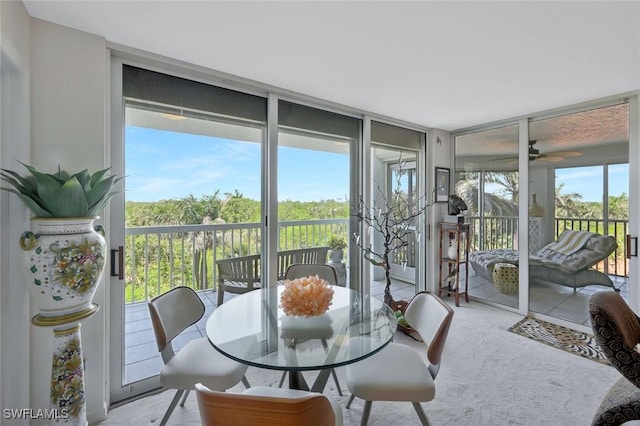 6573 Marissa Loop Unit 303, Naples, FL 34108 - sunroom / solarium with healthy amount of natural light, floor to ceiling windows, and carpet