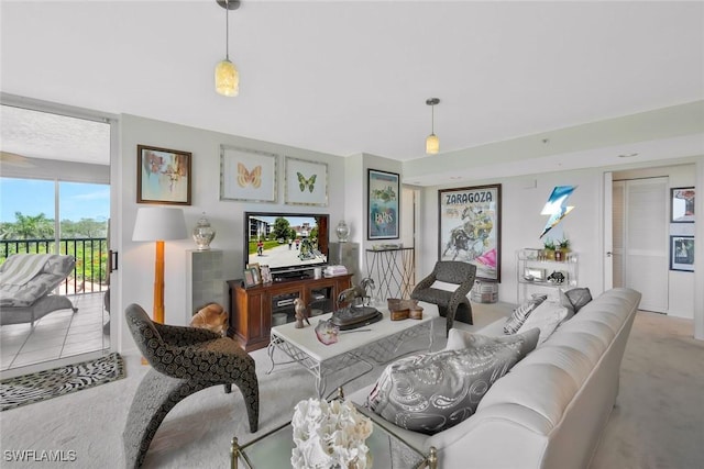 6573 Marissa Loop Unit 303, Naples, FL 34108 - living room with carpet flooring