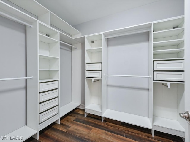 spacious closet with dark wood finished floors