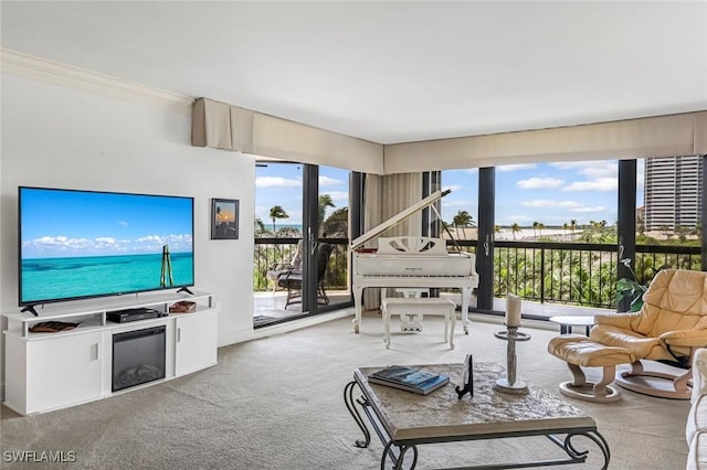 174 S Collier Blvd Unit 304, Marco Island, FL 34145 - carpeted living room featuring plenty of natural light and crown molding