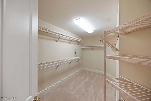 2630 Grey Oaks Dr N Unit B18, Naples, FL 34105 - walk in closet with carpet