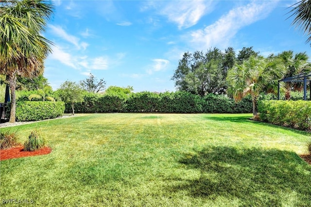 view of grassy yard