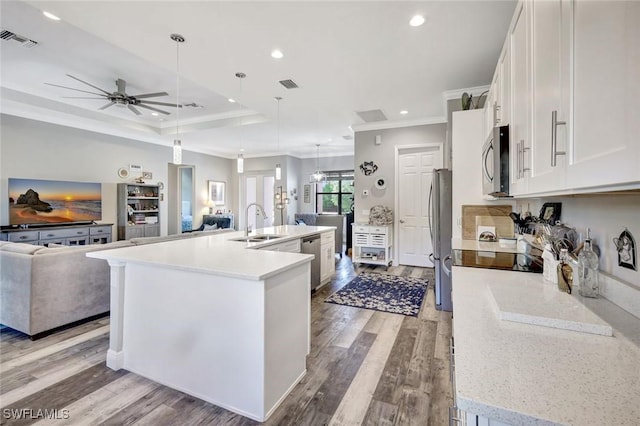7824 7th Ter, Labelle, FL 33935 - kitchen featuring stainless steel appliances, ornamental molding, open floor plan, a sink, and a ceiling fan
