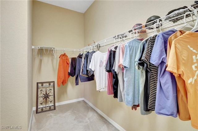 9820 Healthpark Cir Unit 101, Fort Myers, FL 33908 - walk in closet featuring carpet floors