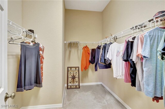 9820 Healthpark Cir Unit 101, Fort Myers, FL 33908 - spacious closet featuring carpet flooring