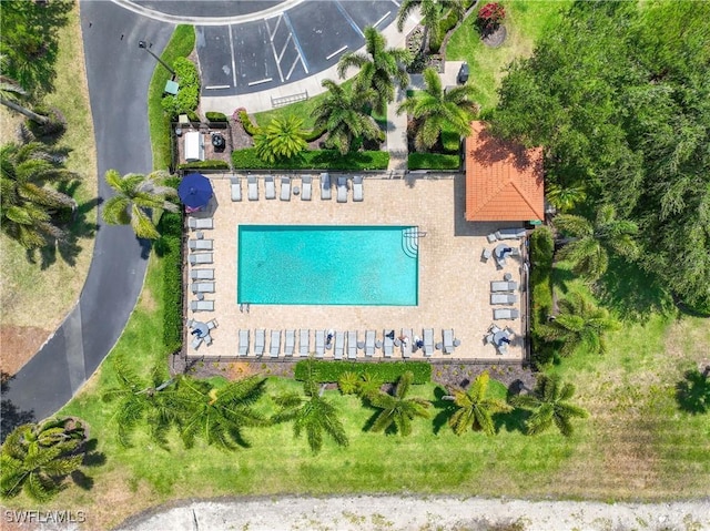 aerial view of a pool