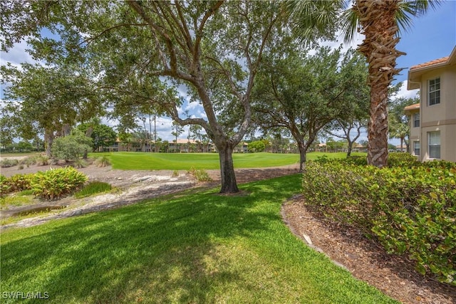 view of grassy yard with view of golf course