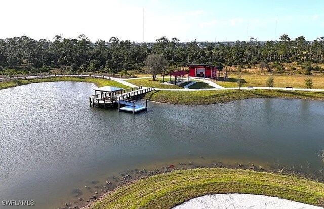 12429 Basalt Ln, Alva, FL 33982 - bird's eye view of a nearby body of water