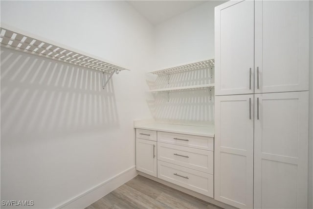 24131 Cock Robin Ln, Bonita Springs, FL 34135 - walk in closet featuring light wood-style floors