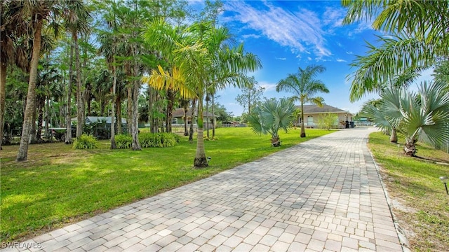 view of property's community with decorative driveway and a yard