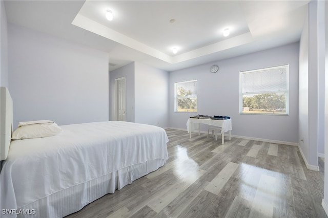 1083 Pollywog Dr, Labelle, FL 33935 - bedroom with a tray ceiling, wood finished floors, and baseboards
