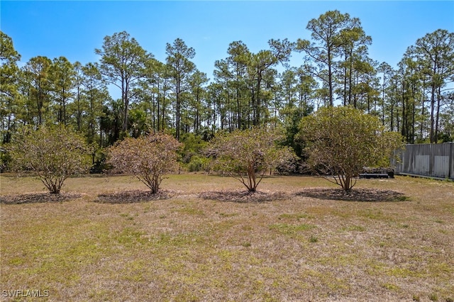 1083 Pollywog Dr, Labelle, FL 33935 - view of yard