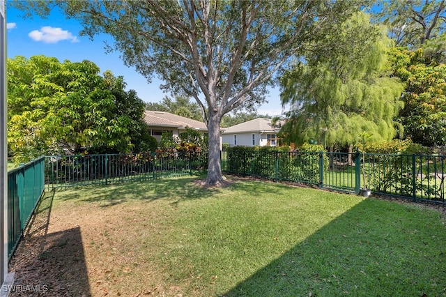 3932 Ruxton Rd, Naples, FL 34116 - view of yard