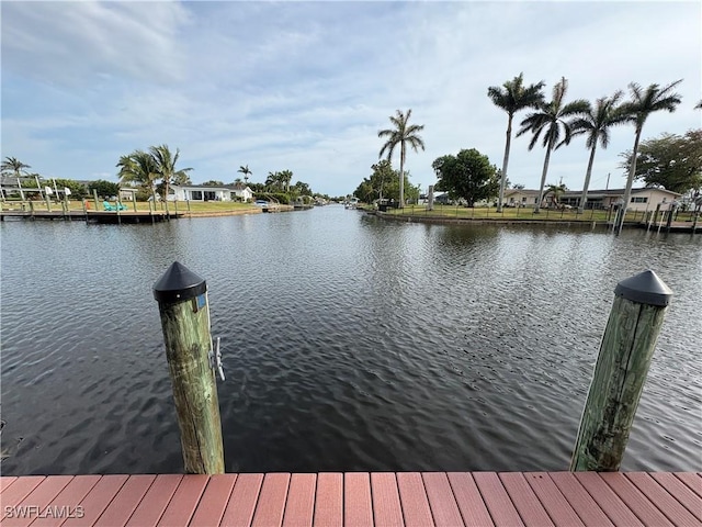 dock area with a water view