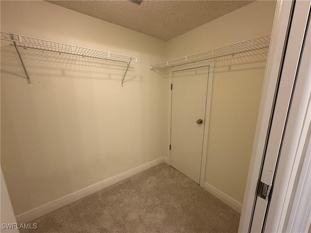 spacious closet featuring light colored carpet