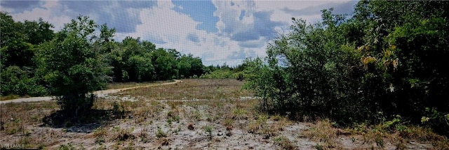 1715 Robert Ave, Lehigh Acres FL, 33972 land for sale