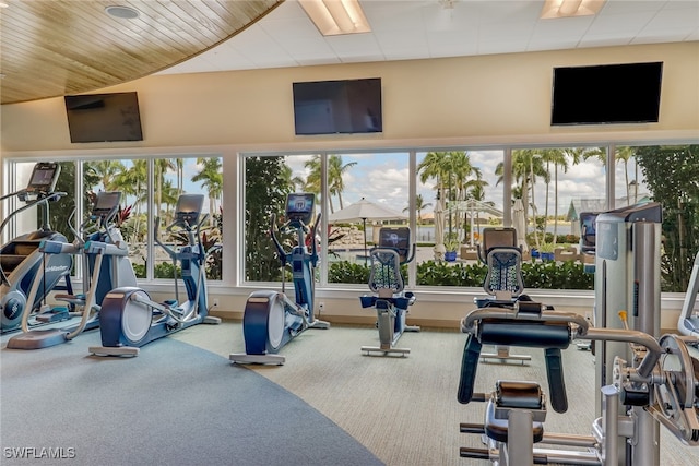 14179 Charthouse Ct, Naples, FL 34114 - gym featuring healthy amount of natural light and carpet