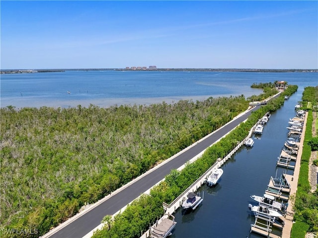 15600 Catalpa Cove Dr, Fort Myers, FL 33908 - photo 48