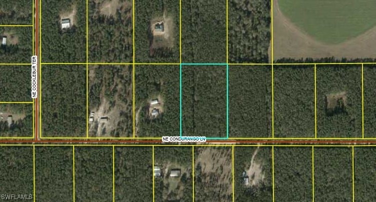 Cordurango Ln NE, Lee, FL 32059