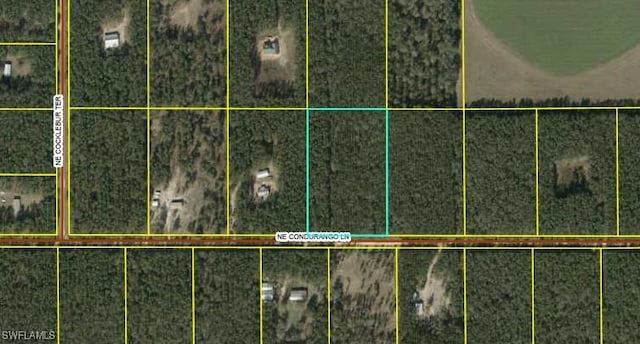 Cordurango Ln NE, Lee, FL 32059