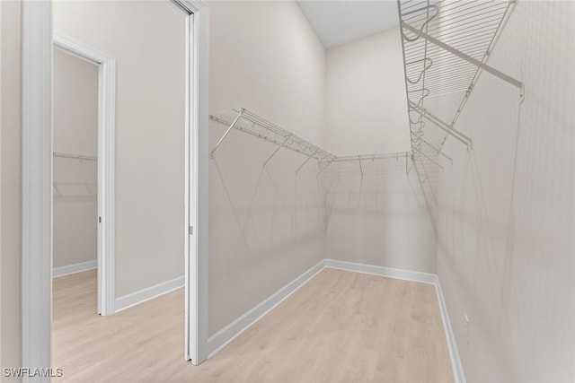 walk in closet featuring wood finished floors