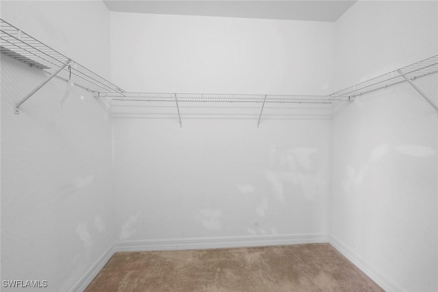 10310 Carolina Willow Dr, Fort Myers, FL 33913 - walk in closet featuring carpet flooring