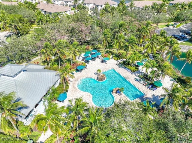 bird's eye view of a pool