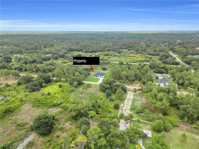 1432 Euclid Ave, Lehigh Acres, FL 33972 - view of property location with a forest