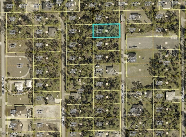 1121 Palmetto Ave, Lehigh Acres FL, 33972 land for sale
