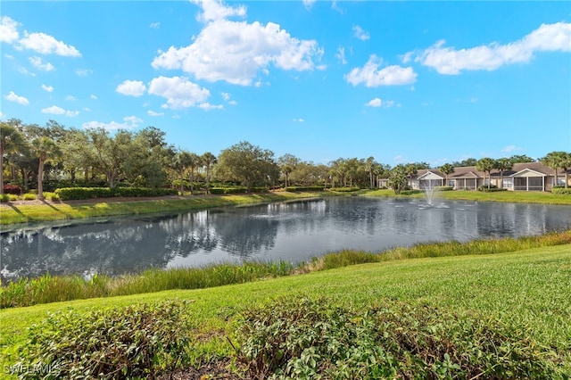 3417 Marbella Ct, Bonita Springs, FL 34134 - water view