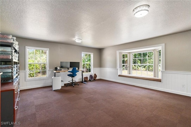 681 23rd St NW, Naples, FL 34120 - carpeted home office featuring a textured ceiling and wainscoting