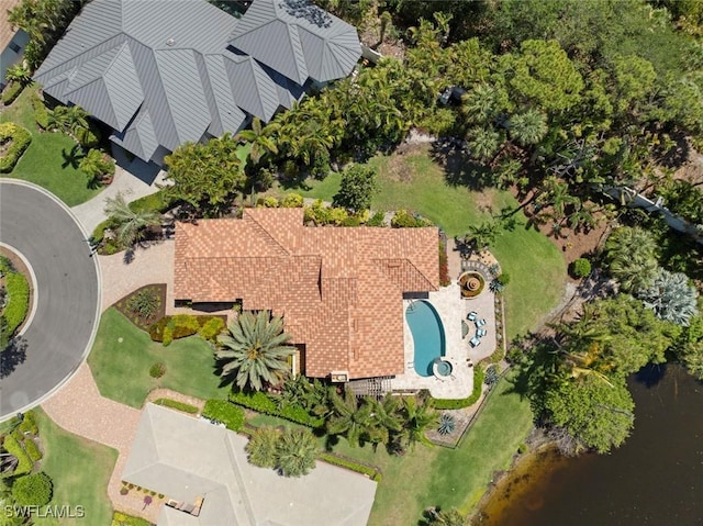 bird's eye view of a pool
