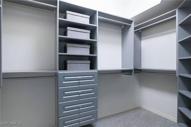 170 Vista Ln, Naples, FL 34119 - walk in closet with carpet floors