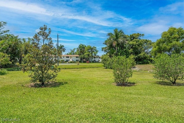 view of green lawn