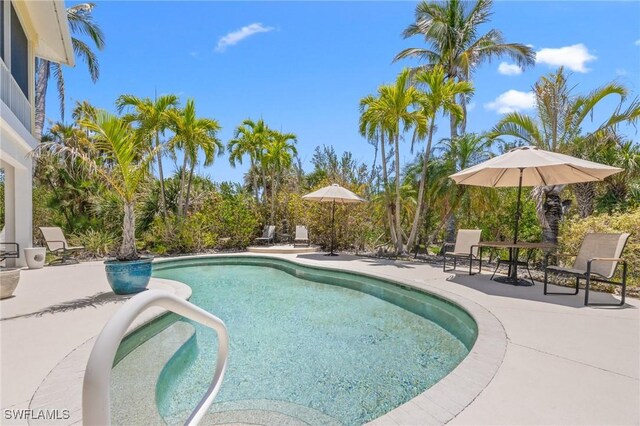 3008 Turtle Gait Ln, Sanibel, FL 33957 - outdoor pool with a patio