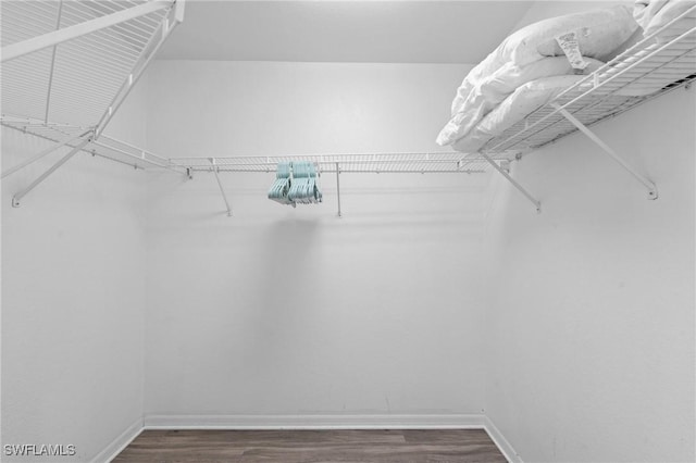 2005 SE 21st St, Cape Coral, FL 33990 - spacious closet with dark wood finished floors