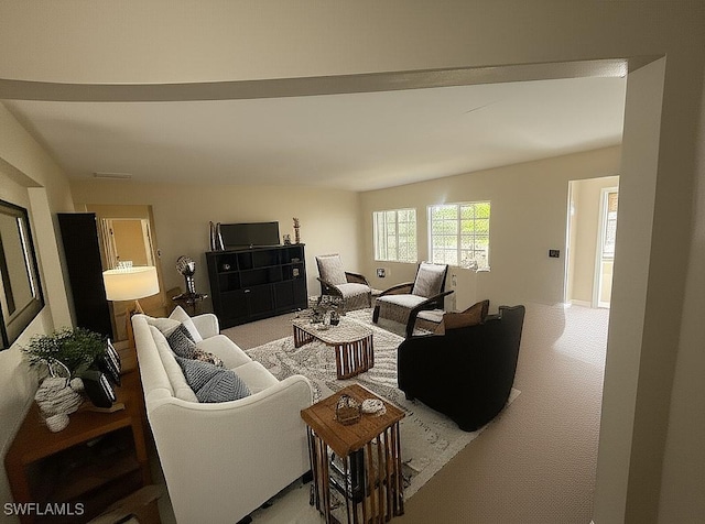 4335 18th Ave SE, Naples, FL 34117 - living area with light carpet